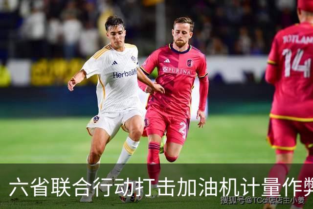 六省联合行动打击加油机计量作弊现象