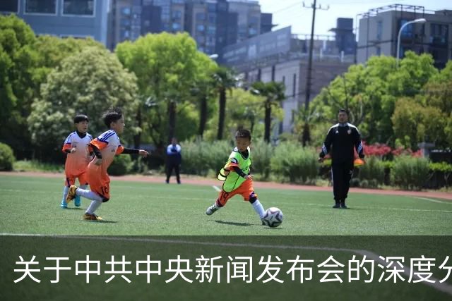 关于中共中央新闻发布会的深度分析及其对民生的影响